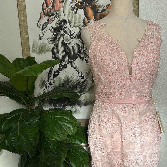 Peach colored dress - Picture 13 of 13